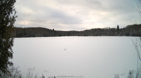 Image from 2025-02-10