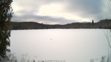 Image from 2025-02-10