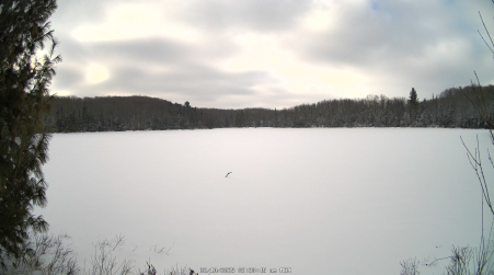 Image from 2025-02-10