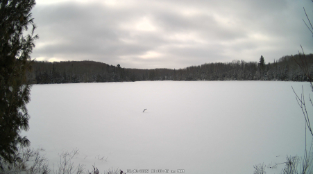 Image from 2025-02-10