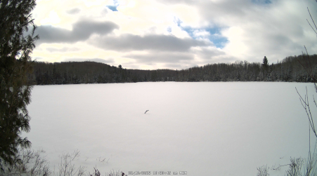 Image from 2025-02-10