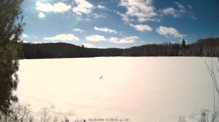 Image from 2025-02-10