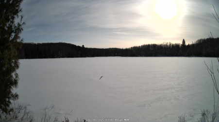 Image from 2025-02-10