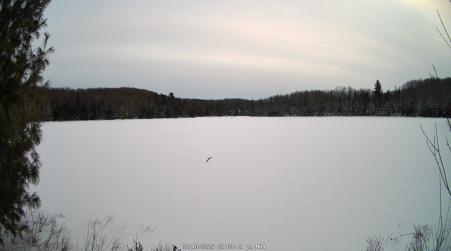 Image from 2025-02-10