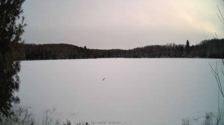 Image from 2025-02-10