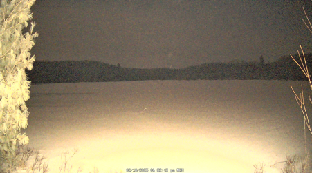 Image from 2025-02-10