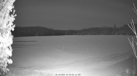 Image from 2025-02-10