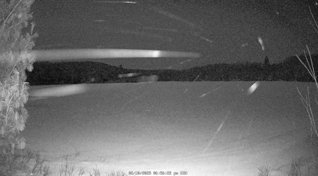 Image from 2025-02-10