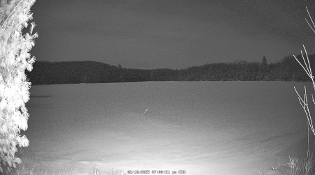 Image from 2025-02-10
