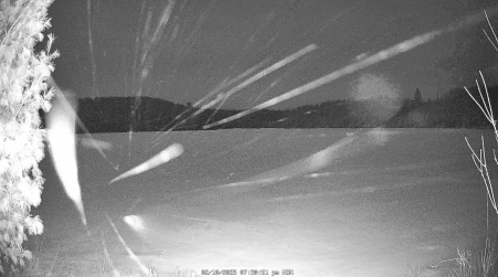 Image from 2025-02-10