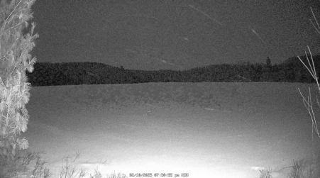 Image from 2025-02-10