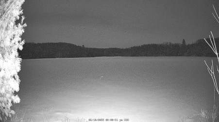 Image from 2025-02-10