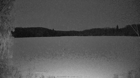 Image from 2025-02-10