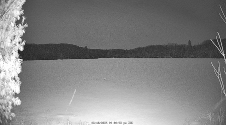 Image from 2025-02-10