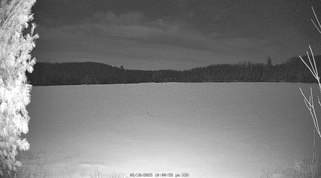 Image from 2025-02-10