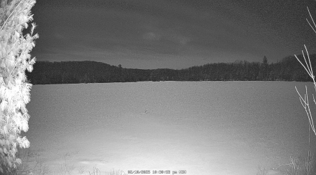 Image from 2025-02-10