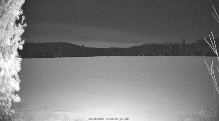 Image from 2025-02-10