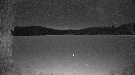 Image from 2025-02-10