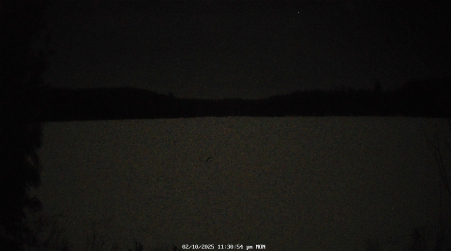 Image from 2025-02-10