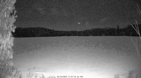 Image from 2025-02-10