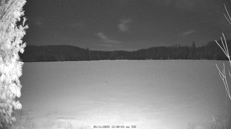 Image from 2025-02-11