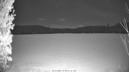 Image from 2025-02-11