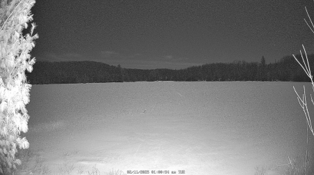 Image from 2025-02-11
