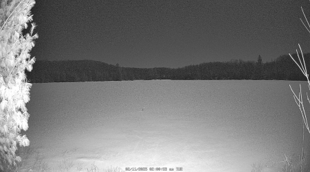 Image from 2025-02-11