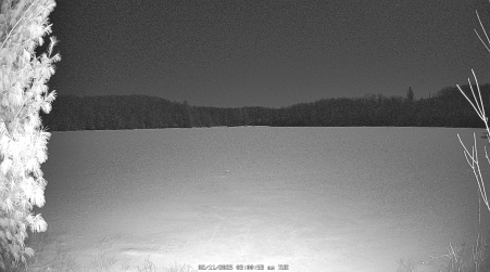 Image from 2025-02-11