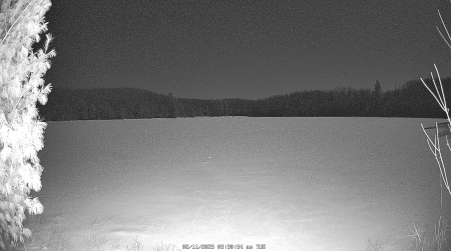 Image from 2025-02-11