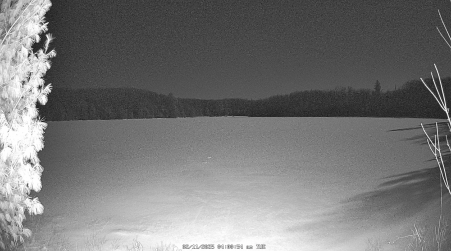 Image from 2025-02-11
