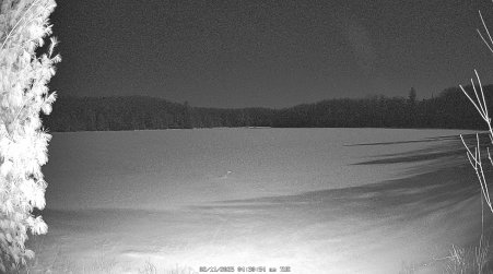 Image from 2025-02-11