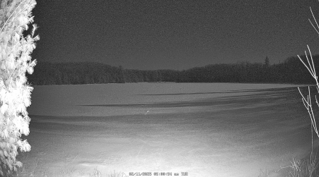 Image from 2025-02-11