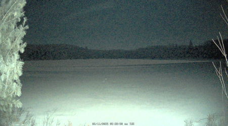 Image from 2025-02-11