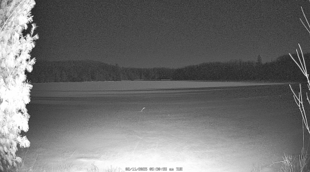 Image from 2025-02-11