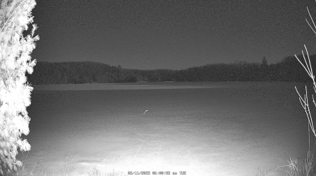 Image from 2025-02-11