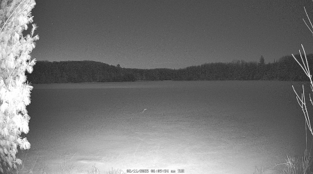 Image from 2025-02-11