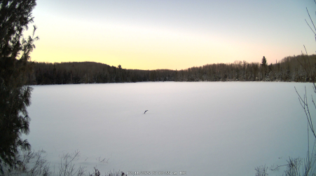 Image from 2025-02-11