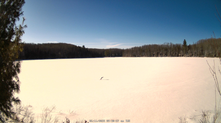 Image from 2025-02-11