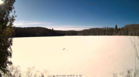 Image from 2025-02-11