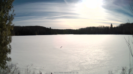 Image from 2025-02-11
