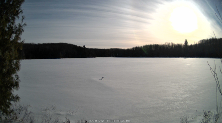 Image from 2025-02-11