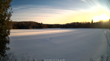 Image from 2025-02-11