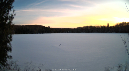 Image from 2025-02-11