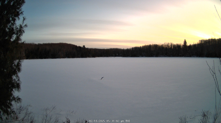 Image from 2025-02-11