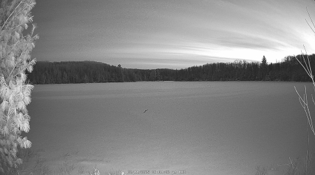 Image from 2025-02-11