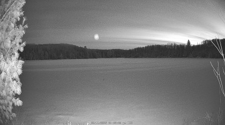 Image from 2025-02-11