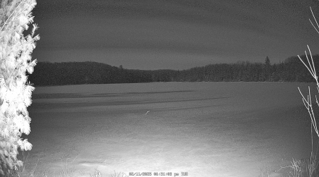 Image from 2025-02-11