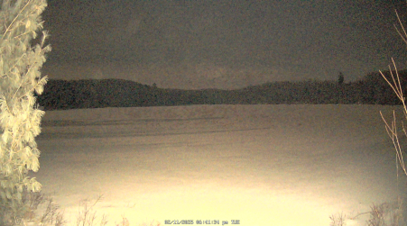 Image from 2025-02-11