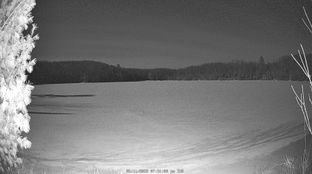 Image from 2025-02-11